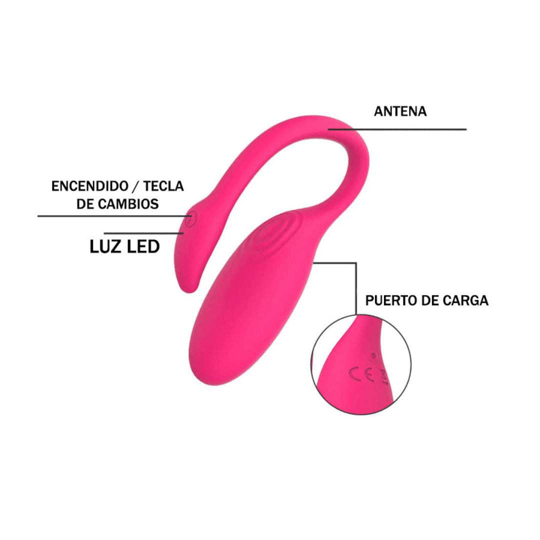 Vibrador Flamingo con APP USB